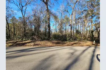 Lot 4 Sherwood Drive, Shepherd, TX 77371 - Photo 2