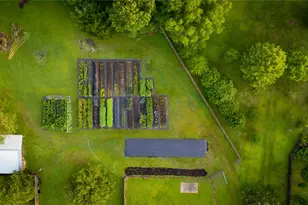 661 Old Plantersville Rd, Montgomery, TX 77316 - Photo 36