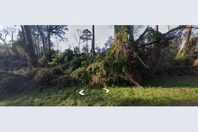 Lot 52 Overcup Drive, Spring, TX 77389 - Photo 6