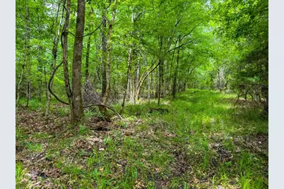 Tbd County Road 3145, Colmesneil, TX 75938 - Photo 24