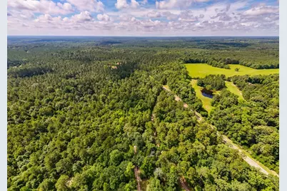 Tbd County Road 3145, Colmesneil, TX 75938 - Photo 26