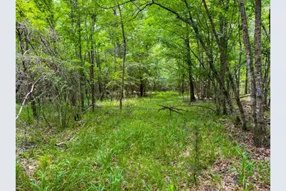 Tbd County Road 3145, Colmesneil, TX 75938 - Photo 22