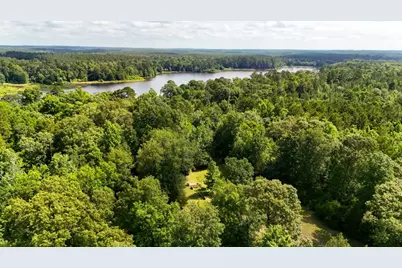 Tbd County Road 3145, Colmesneil, TX 75938 - Photo 10