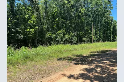 000 Holt Street, Coldspring, TX 77331 - Photo 2