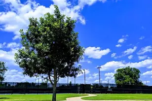 6027 Turner Shadow Ln, Sugar Land, TX 77479 - Photo 36