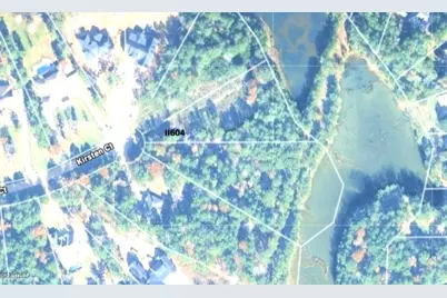 11604 Kirstens Court, Montgomery, TX 77316 - Photo 32