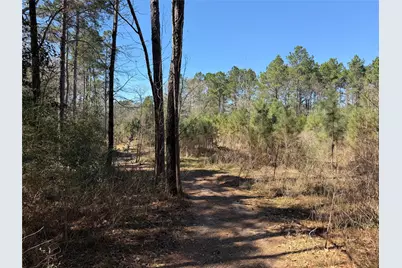 11604 Kirstens Court, Montgomery, TX 77316 - Photo 12