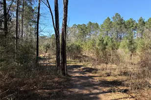 11604 Kirstens Ct, Montgomery, TX 77316 - Photo 12