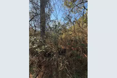 11604 Kirstens Court, Montgomery, TX 77316 - Photo 22