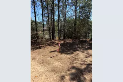 11604 Kirstens Court, Montgomery, TX 77316 - Photo 24