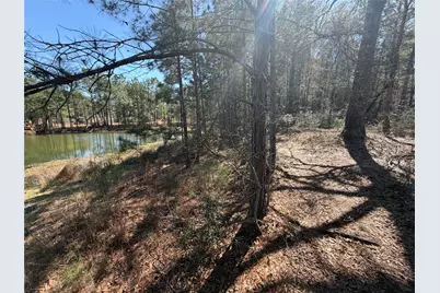 11604 Kirstens Court, Montgomery, TX 77316 - Photo 4