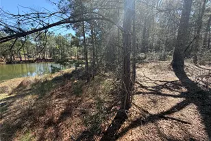 11604 Kirstens Ct, Montgomery, TX 77316 - Photo 4