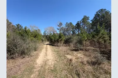 11604 Kirstens Court, Montgomery, TX 77316 - Photo 6