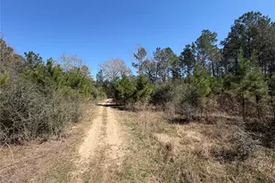 11604 Kirstens Ct, Montgomery, TX 77316 - Photo 6