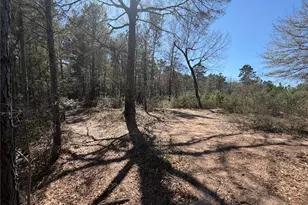 11604 Kirstens Ct, Montgomery, TX 77316 - Photo 8