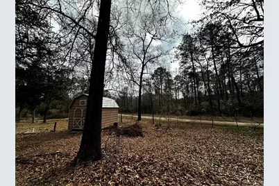 119 Cedar Forest Road, Corrigan, TX 75939 - Photo 24