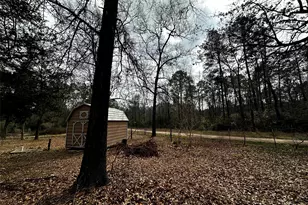 119 Cedar Forest Rd, Corrigan, TX 75939 - Photo 24