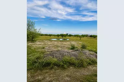 13510 Moody Road, Needville, TX 77461 - Photo 1