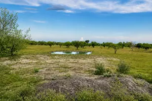 13510 Moody Rd, Needville, TX 77461 - Photo 1