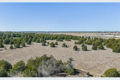 Tbd Hwy 237, Round Top, TX 78954 - Photo 4