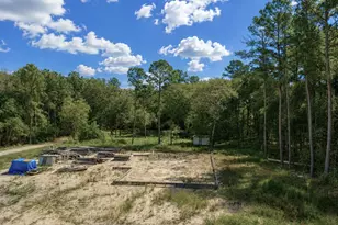 11238 Wildwood Ln, Plantersville, TX 77363 - Photo 1