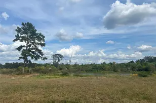 18074 Hill Rd, Cleveland, TX 77328 - Photo 16