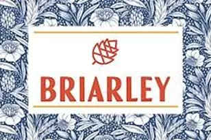 802 Vizsla Ct, Montgomery, TX 77316 - Photo 26