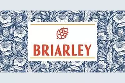 802 Vizsla Court, Montgomery, TX 77316 - Photo 40