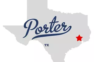 0 Lt 23 Rolling Hill Oaks, Porter, TX 77365 - Photo 10