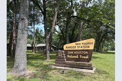 19753 Flag View Drive, Montgomery, TX 77316 - Photo 38