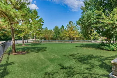 115 Buckeye Drive, Montgomery, TX 77316 - Photo 46