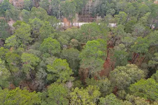 0 Foster Dr, Conroe, TX 77301 - Photo 10