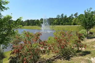 22582 Valley Canyon Ln, Porter, TX 77365 - Photo 20