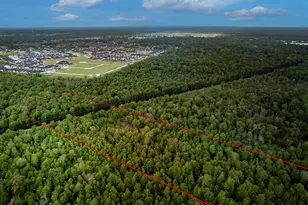 7 73 Acres, Conroe, TX 77385 - Photo 2