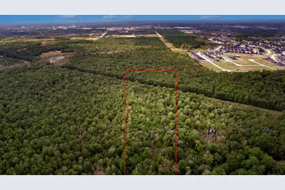 7.73 Acres, Conroe, TX 77385 - Photo 4