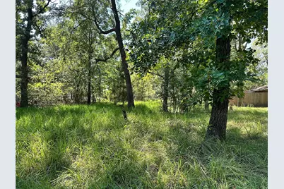 00 Pine Wood Drive, Huntsville, TX 77320 - Photo 8