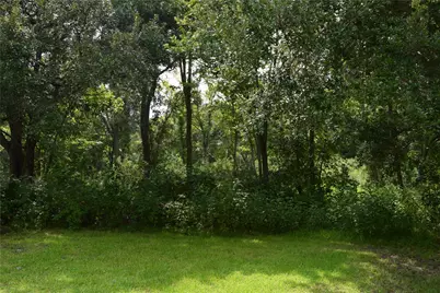 00 Belcher Road - Cr 397 Road, Manvel, TX 77578 - Photo 12