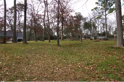 122 Kings Way, Coldspring, TX 77331 - Photo 6