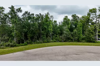 7178 Morningbrook Drive, Montgomery, TX 77316 - Photo 4