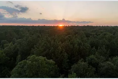 231 Iron Horse Road, Willis, TX 77378 - Photo 10