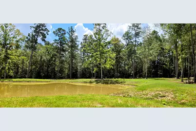 231 Iron Horse Road, Willis, TX 77378 - Photo 8