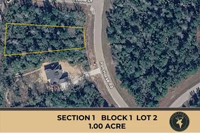 231 Iron Horse Road, Willis, TX 77378 - Photo 1