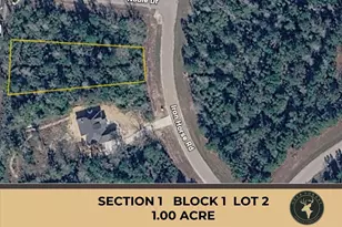 231 Iron Horse Rd, Willis, TX 77378 - Photo 1