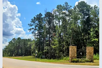 231 Iron Horse Road, Willis, TX 77378 - Photo 4