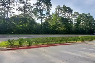 16868 FM 1484 Rd, Conroe, TX 77303 - Photo 1