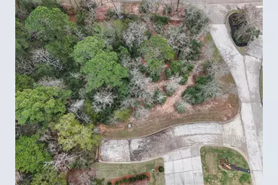 101 Pine Bluff Drive, Montgomery, TX 77356 - Photo 2