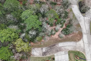 101 Pine Bluff Dr, Montgomery, TX 77356 - Photo 2