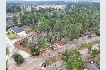 101 Pine Bluff Drive, Montgomery, TX 77356 - Photo 1