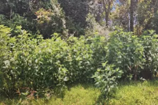 120 Alabama, Liberty, TX 77575 - Photo 1