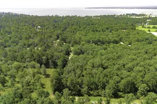 387 Hackberry Dr, Onalaska, TX 77360 - Photo 4